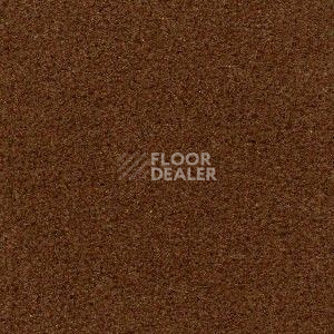 Ковролин Radici Admiral Autunno 631 фото 1 | FLOORDEALER